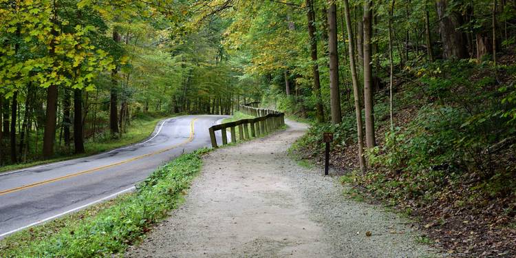 Untitled design (1).jpg